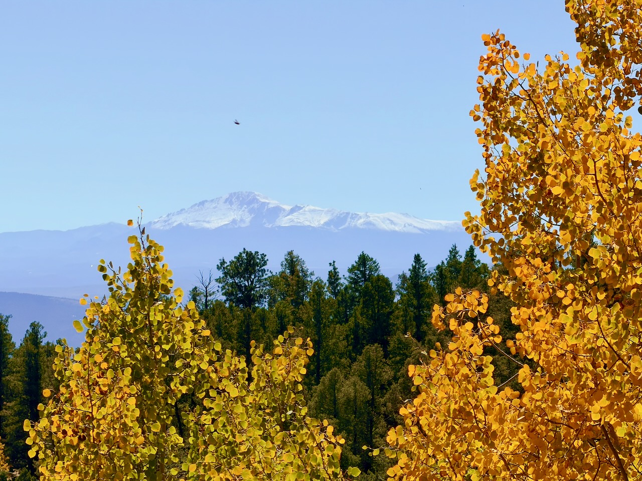 Colorado fall colors with the first snow on Pikes Peak